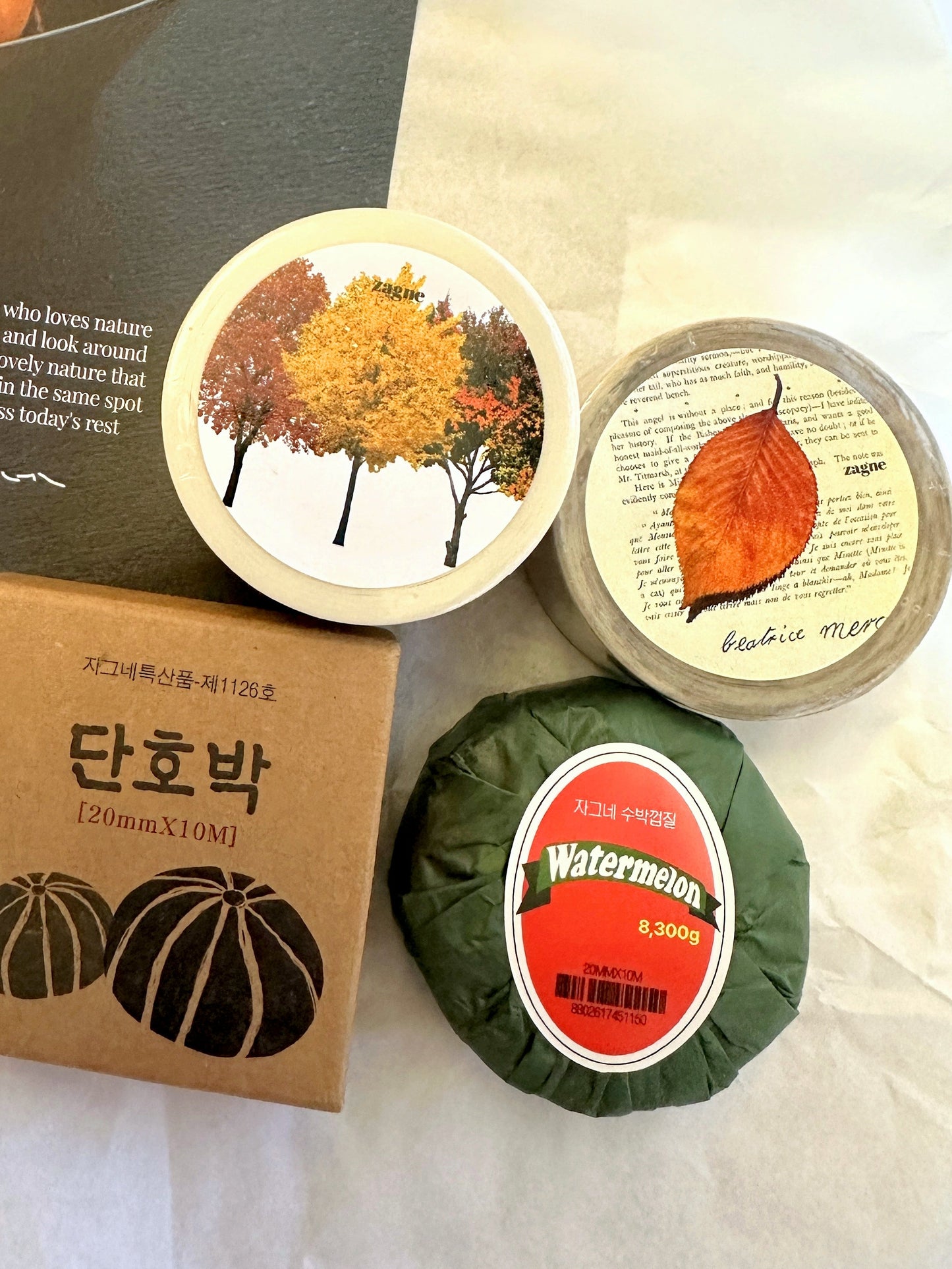 Zagne - Fall Tree washi tape SAMPLES