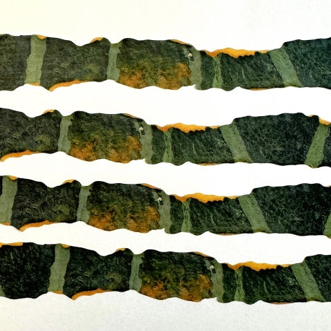 Zagne - Autumn Squash Peel die-cut washi tape SAMPLES