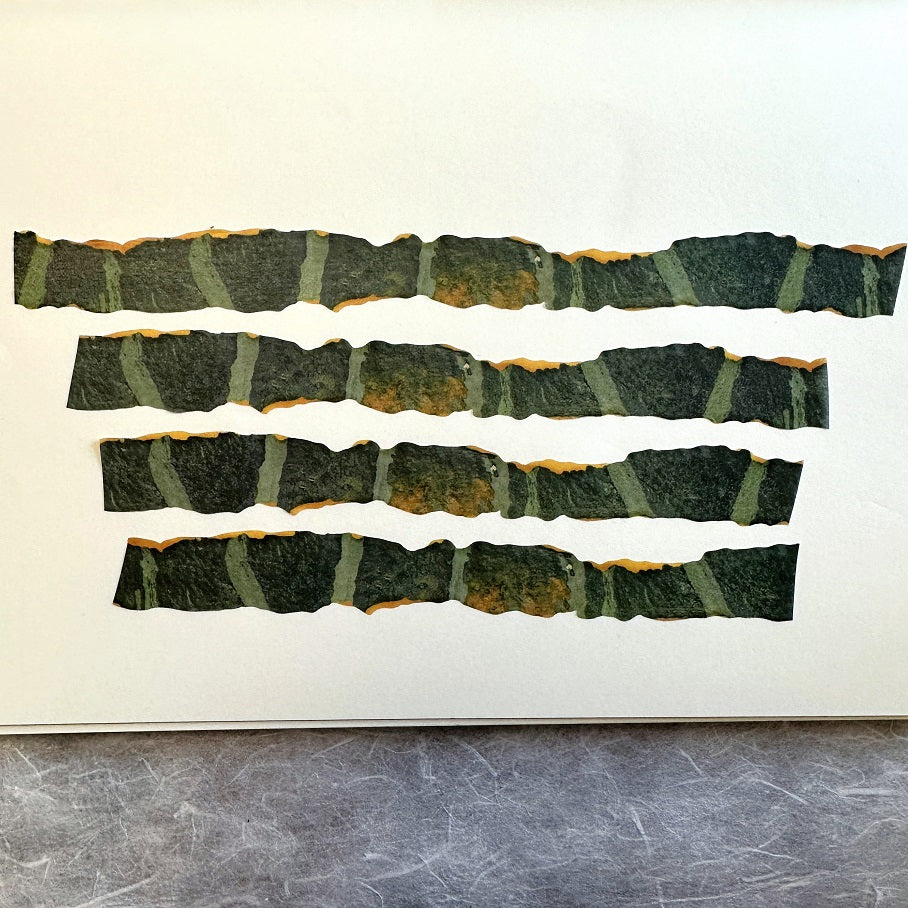 Zagne - Autumn Squash Peel die-cut washi tape SAMPLES
