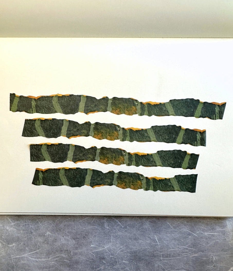 Zagne - Autumn Squash Peel die-cut washi tape SAMPLES