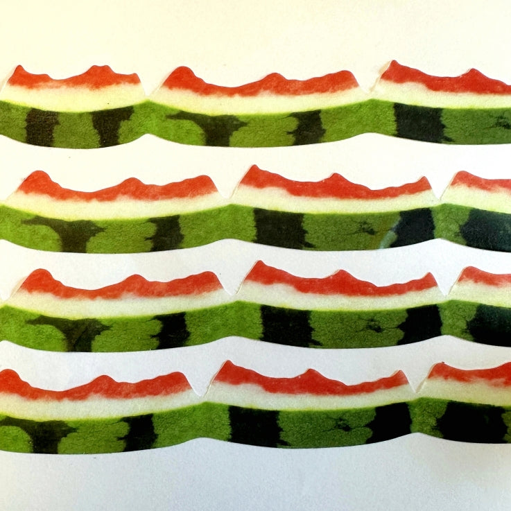 Zagne - Watermelon Peel die-cut washi tape SAMPLES