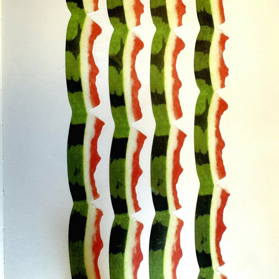 Zagne - Watermelon Peel die-cut washi tape SAMPLES