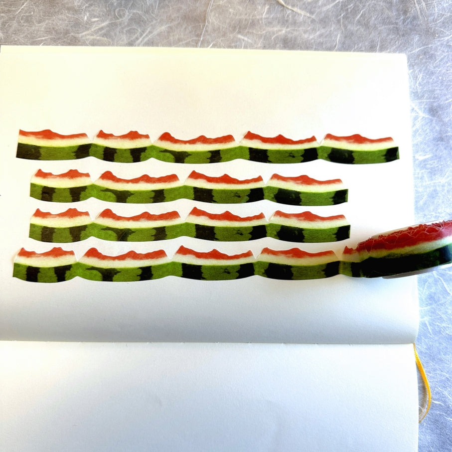 Zagne - Watermelon Peel die-cut washi tape SAMPLES