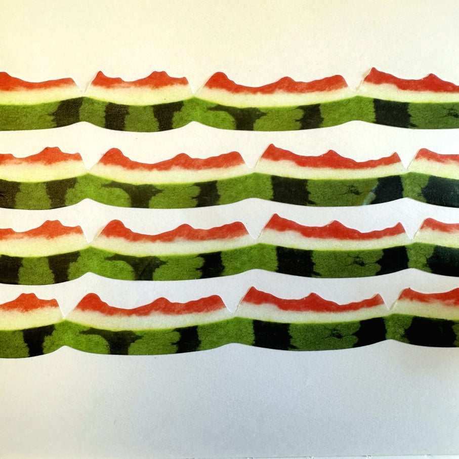 Zagne - Watermelon Peel die-cut washi tape SAMPLES