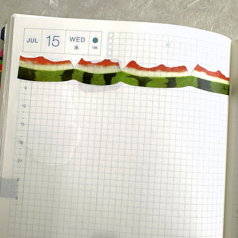 Zagne - Watermelon Peel die-cut washi tape SAMPLES