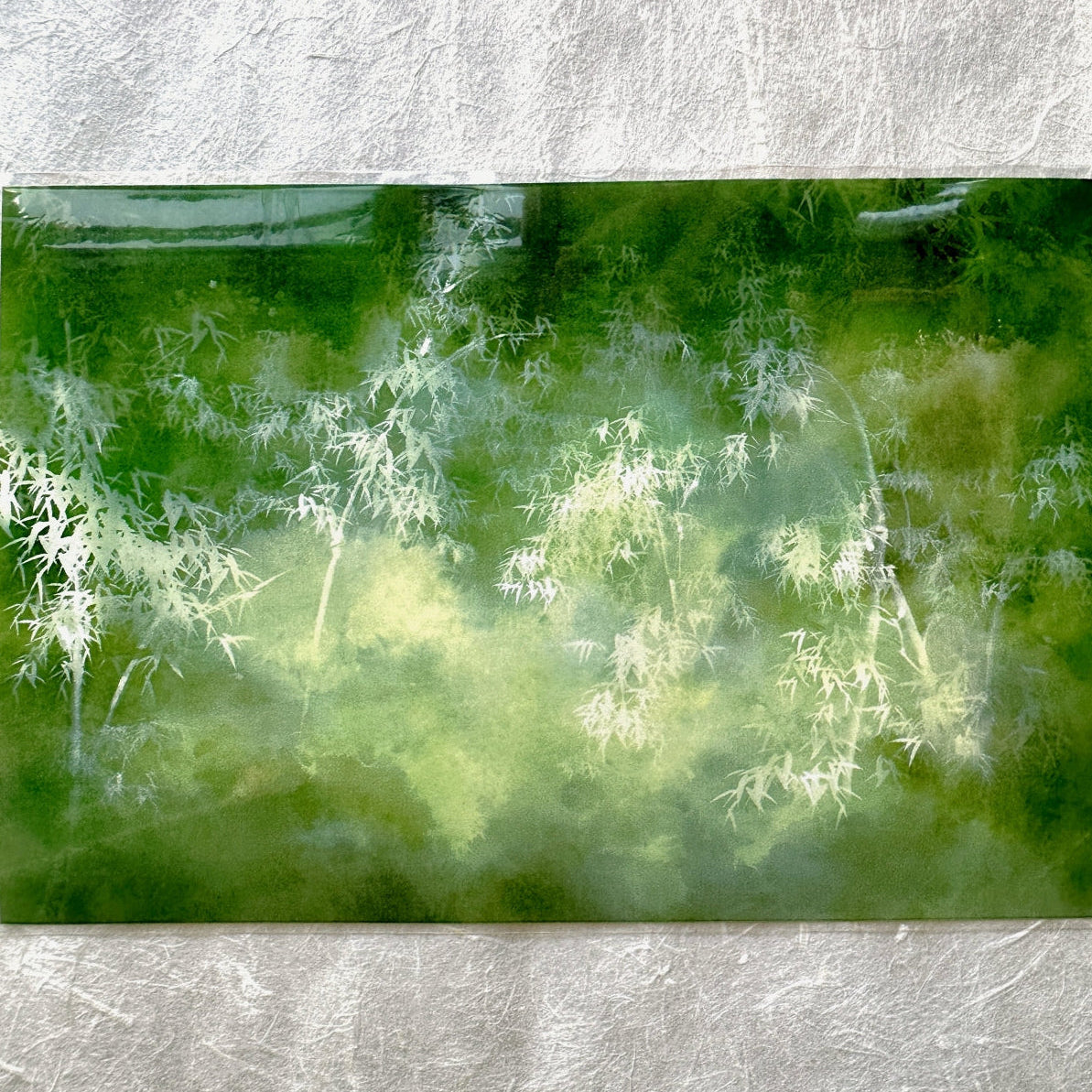 Jing Wu Zhi - Scenery: Color among flowers 10 cm wide PET tape SAMPLES