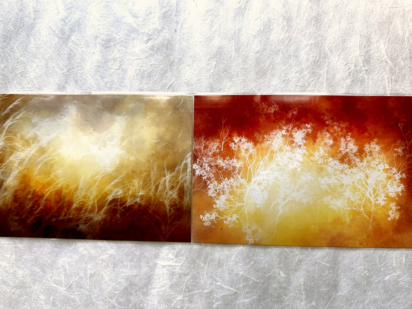 Jing Wu Zhi - Scenery: Color among flowers 10 cm wide PET tape SAMPLES