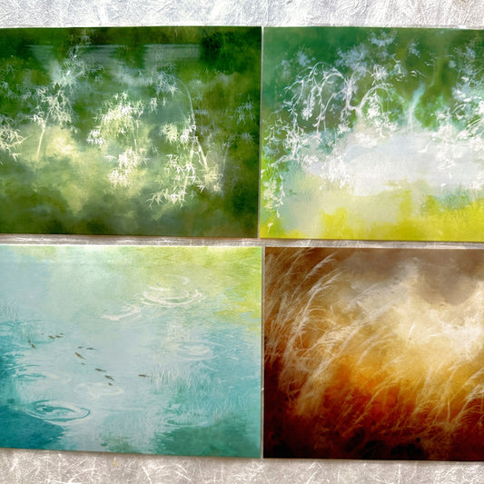 Jing Wu Zhi - Scenery: Color among flowers 10 cm wide PET tape SAMPLES