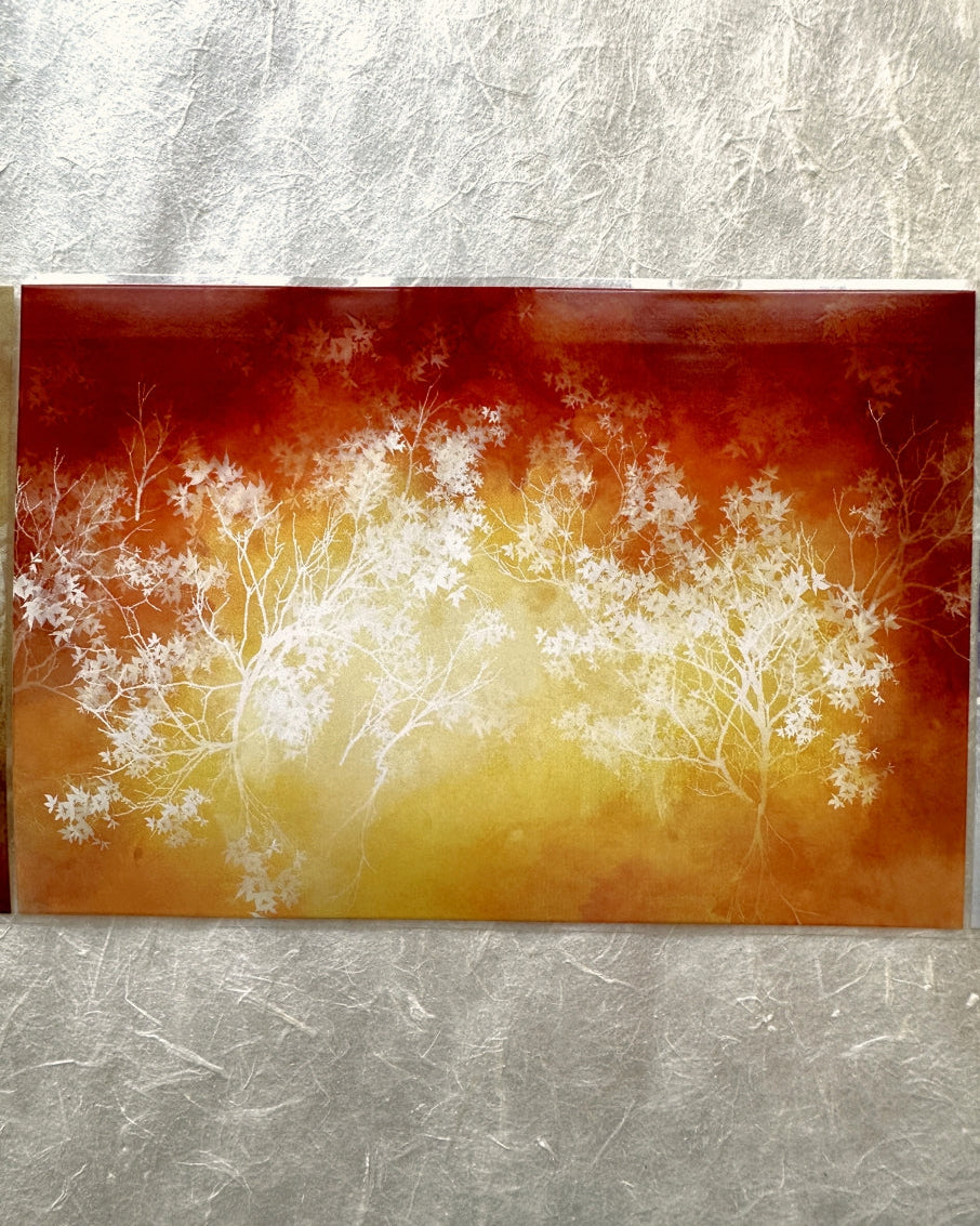 Jing Wu Zhi - Scenery: Color among flowers 10 cm wide PET tape SAMPLES