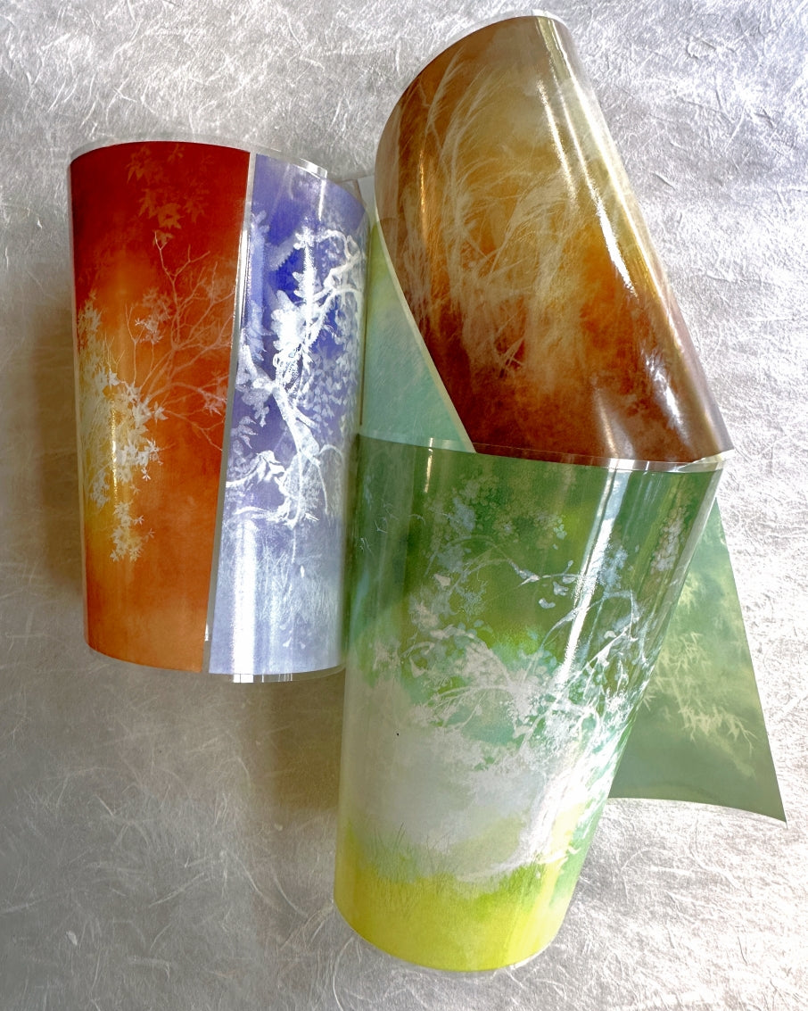 Jing Wu Zhi - Scenery: Color among flowers 10 cm wide PET tape SAMPLES