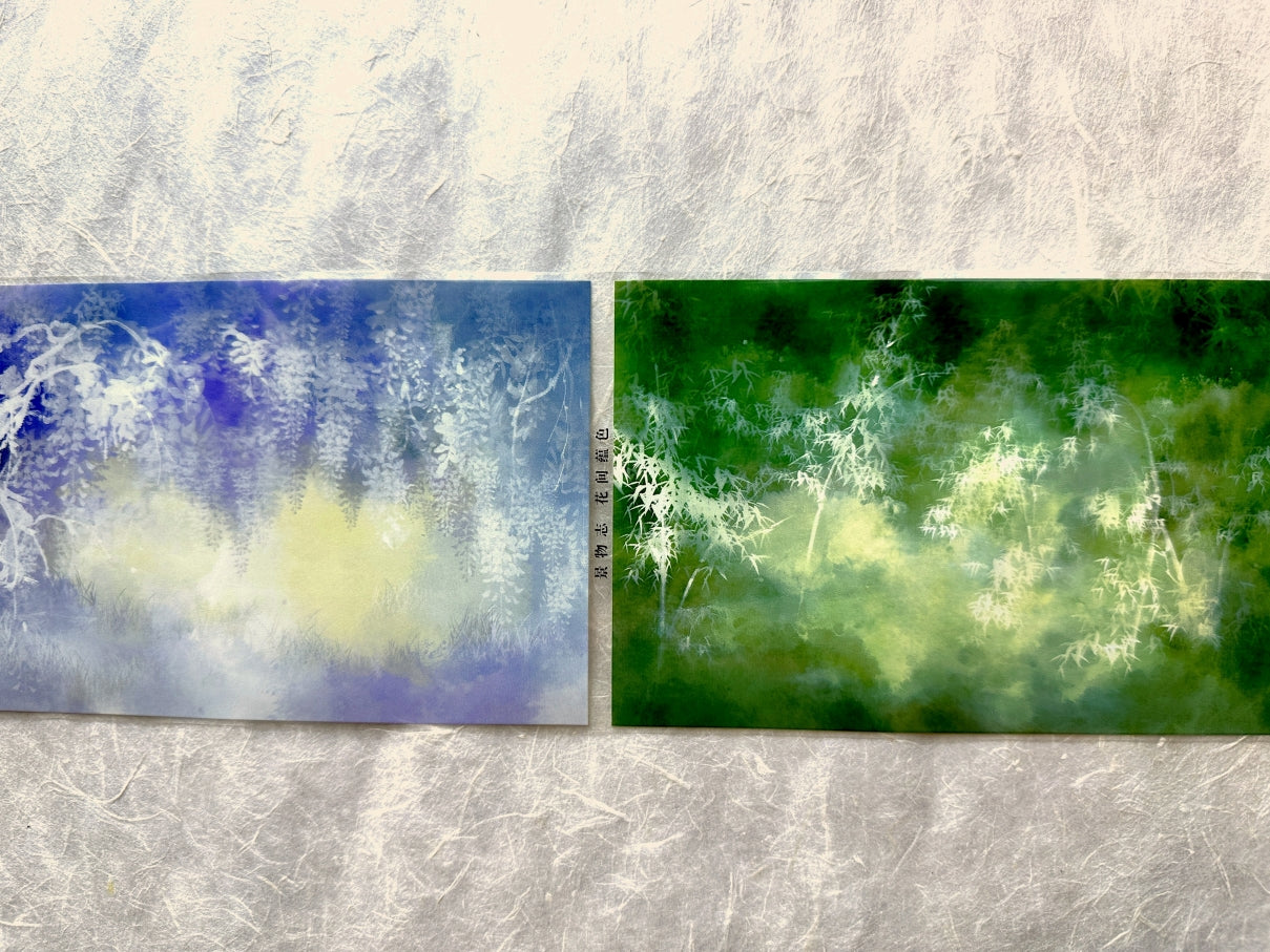 Jing Wu Zhi - Scenery: Color among flowers 10 cm wide PET tape SAMPLES