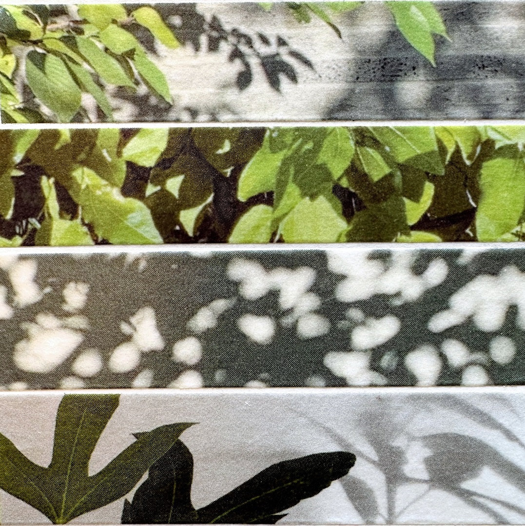 ZoeyBrown - scenic Korean masking tape SAMPLES