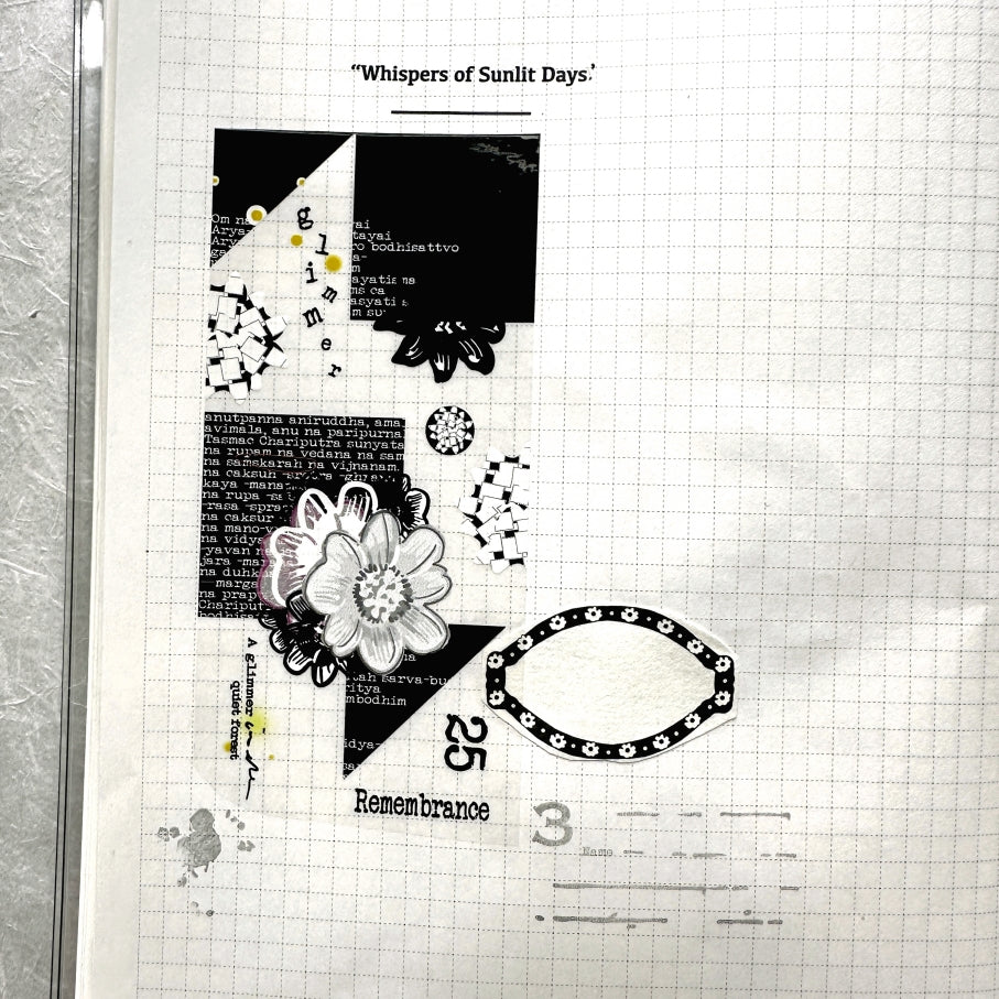 Ha7uu Studio - Flower Study: Glimmer PET SAMPLES