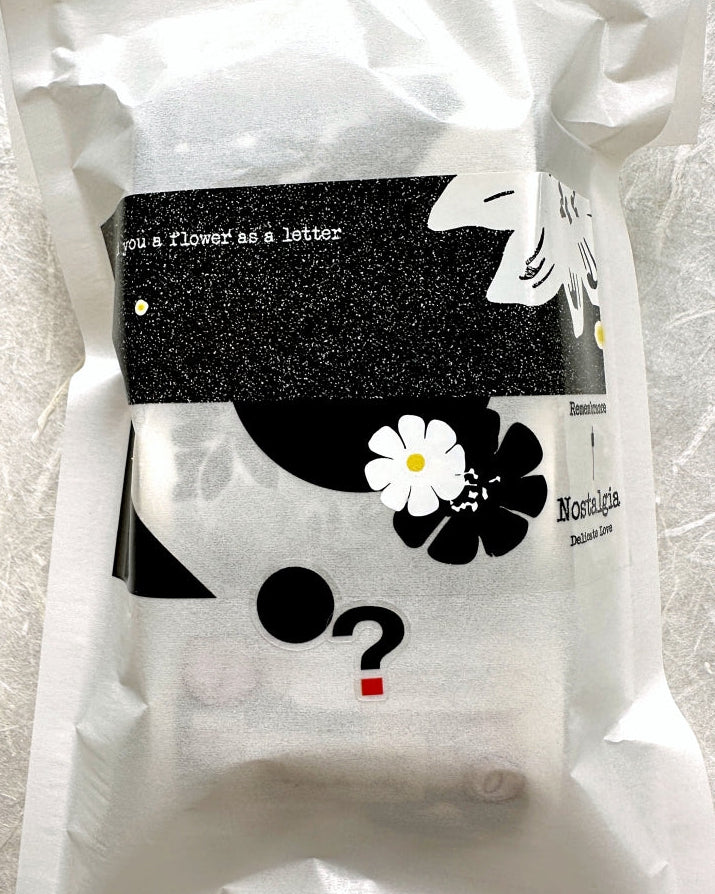 WW Studio - Symbol Collection kiss-cut PVC tape SAMPLES