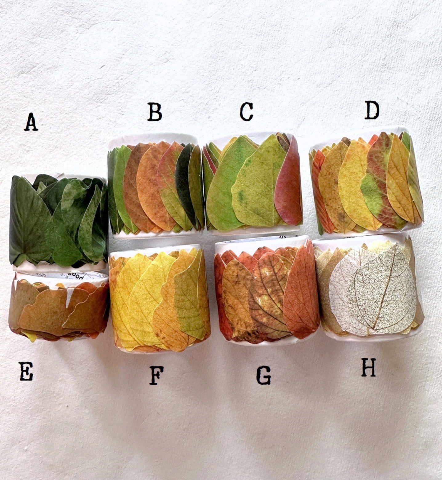Fall Leaves paper sticker rolls