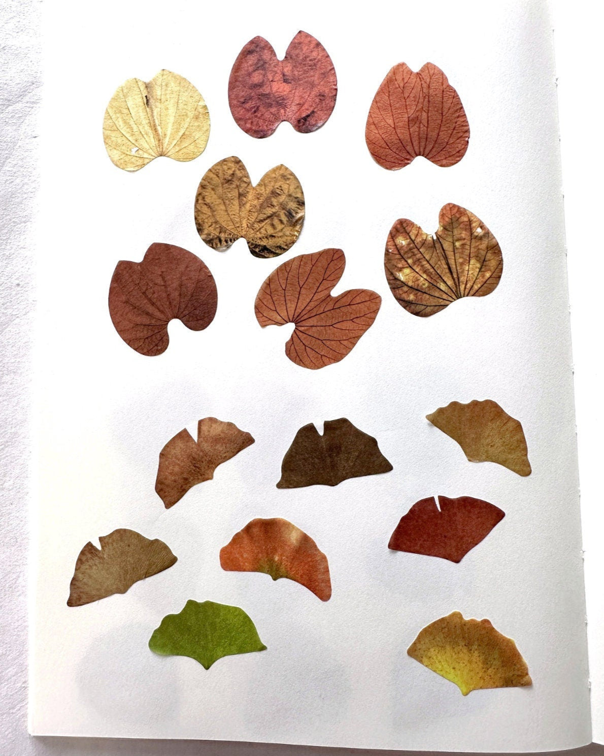 Fall Leaves paper sticker rolls