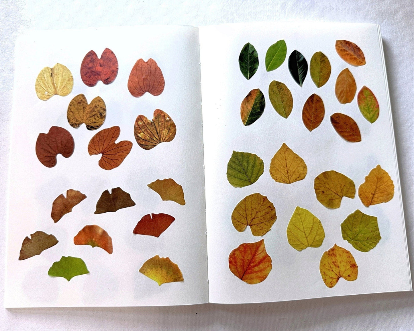 Fall Leaves paper sticker rolls