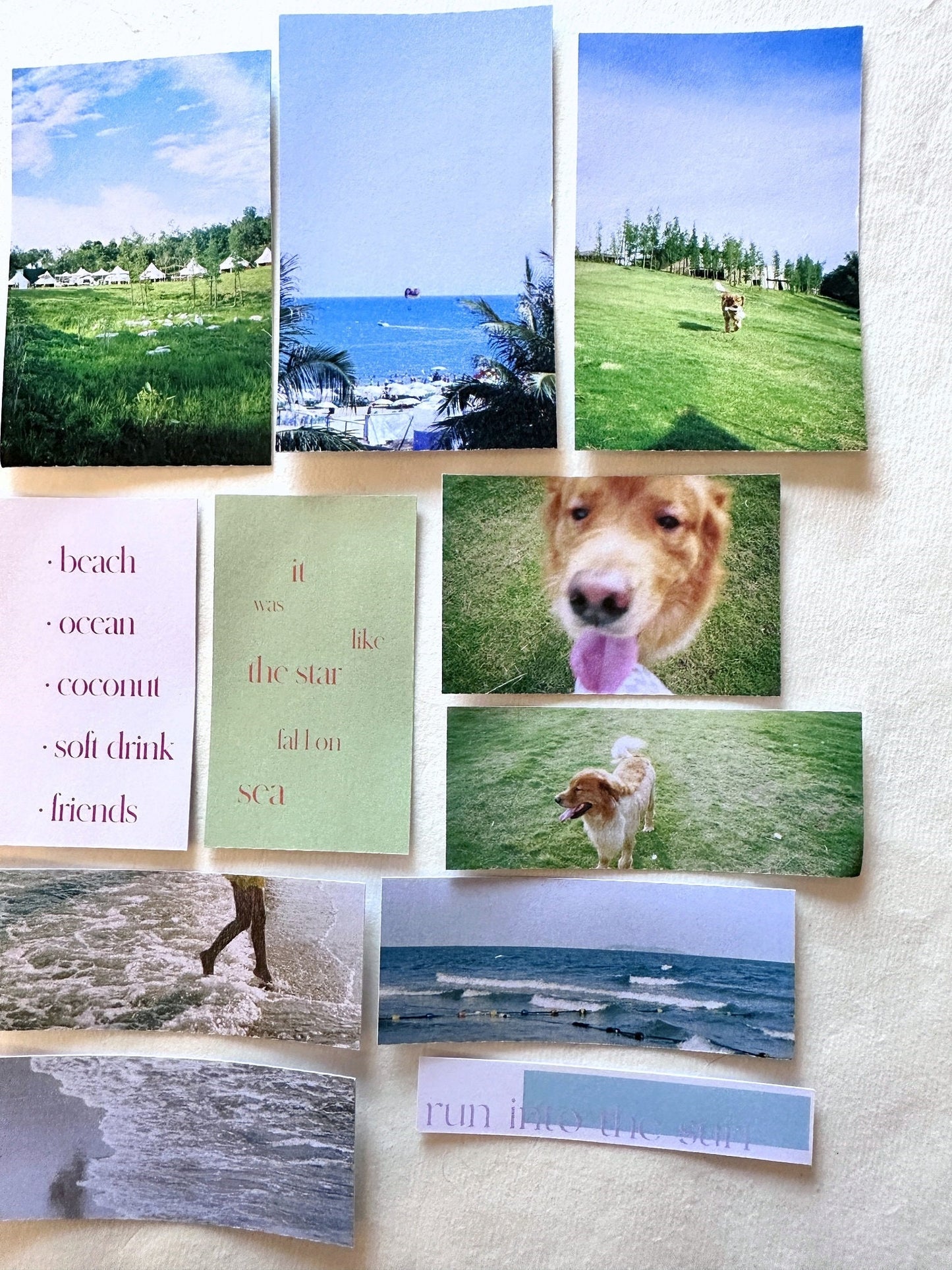 Marky Puppy - Summer Never Dies sticker pack