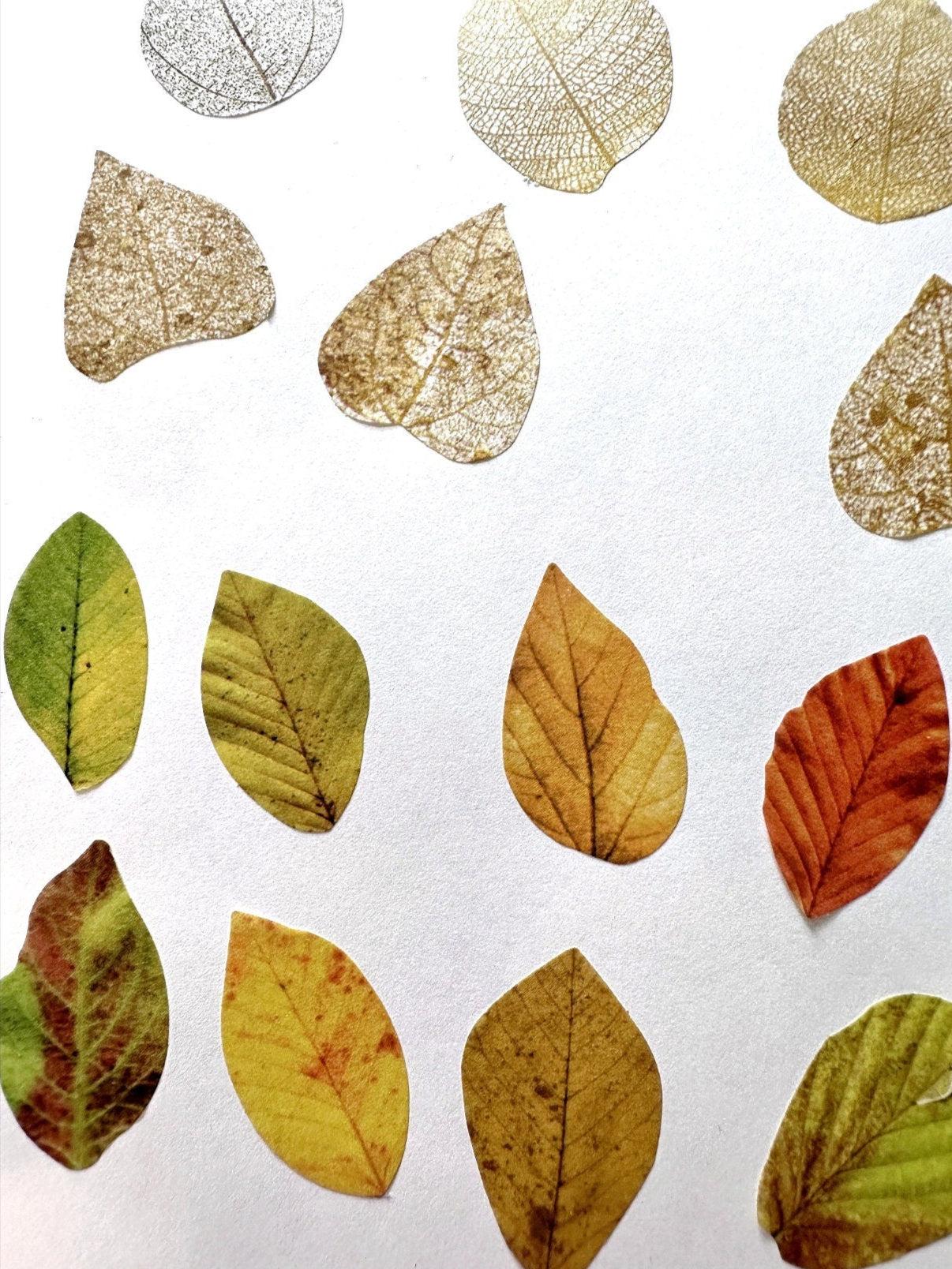 Fall Leaves paper sticker rolls