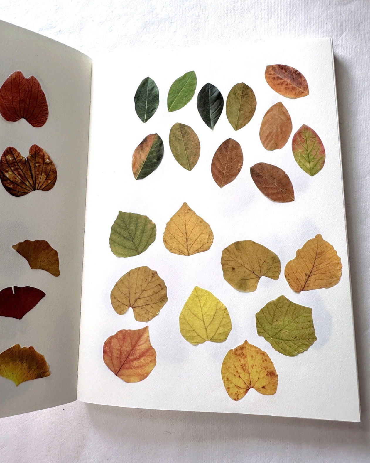 Fall Leaves paper sticker rolls
