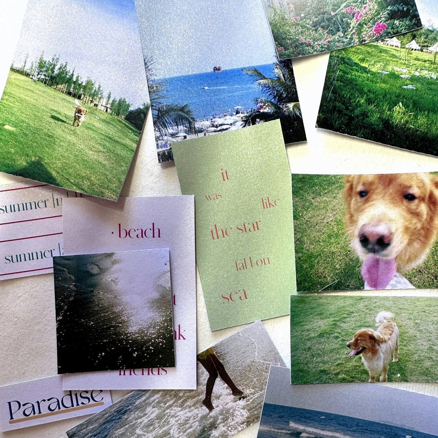 Marky Puppy - Summer Never Dies sticker pack
