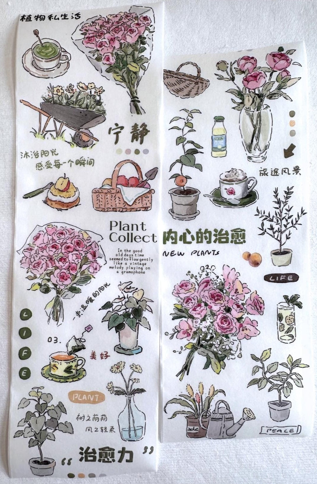 Muguang - Green Time washi tape SAMPLES