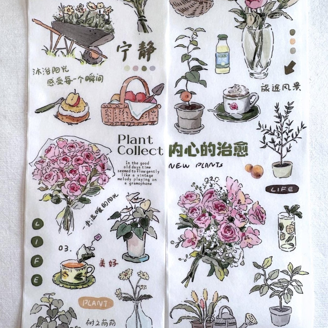Muguang - Green Time washi tape SAMPLES