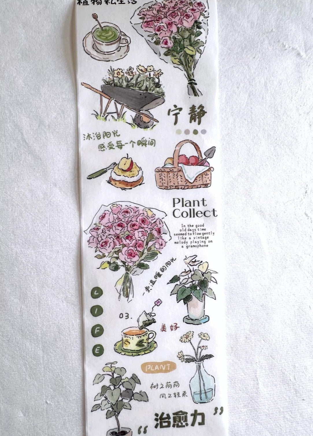 Muguang - Green Time washi tape SAMPLES