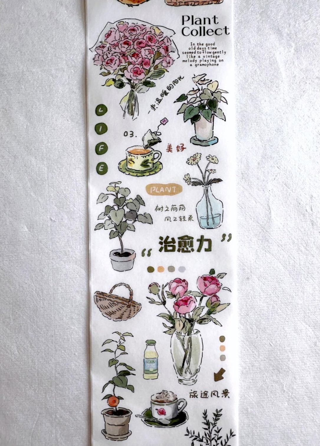 Muguang - Green Time washi tape SAMPLES