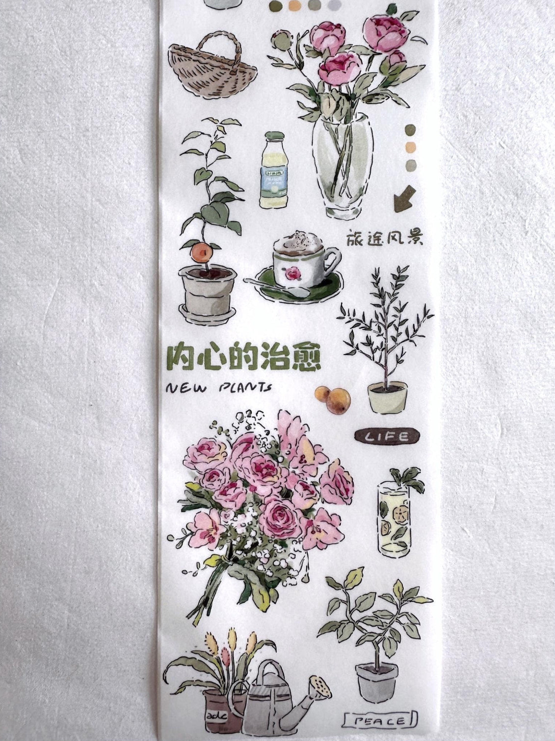 Muguang - Green Time washi tape SAMPLES