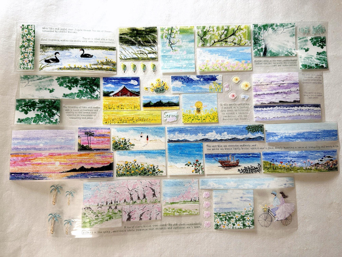 MuZiShan Studio - Looking for Spring kiss-cut PET tape (5 cm x 115 cm) SAMPLES