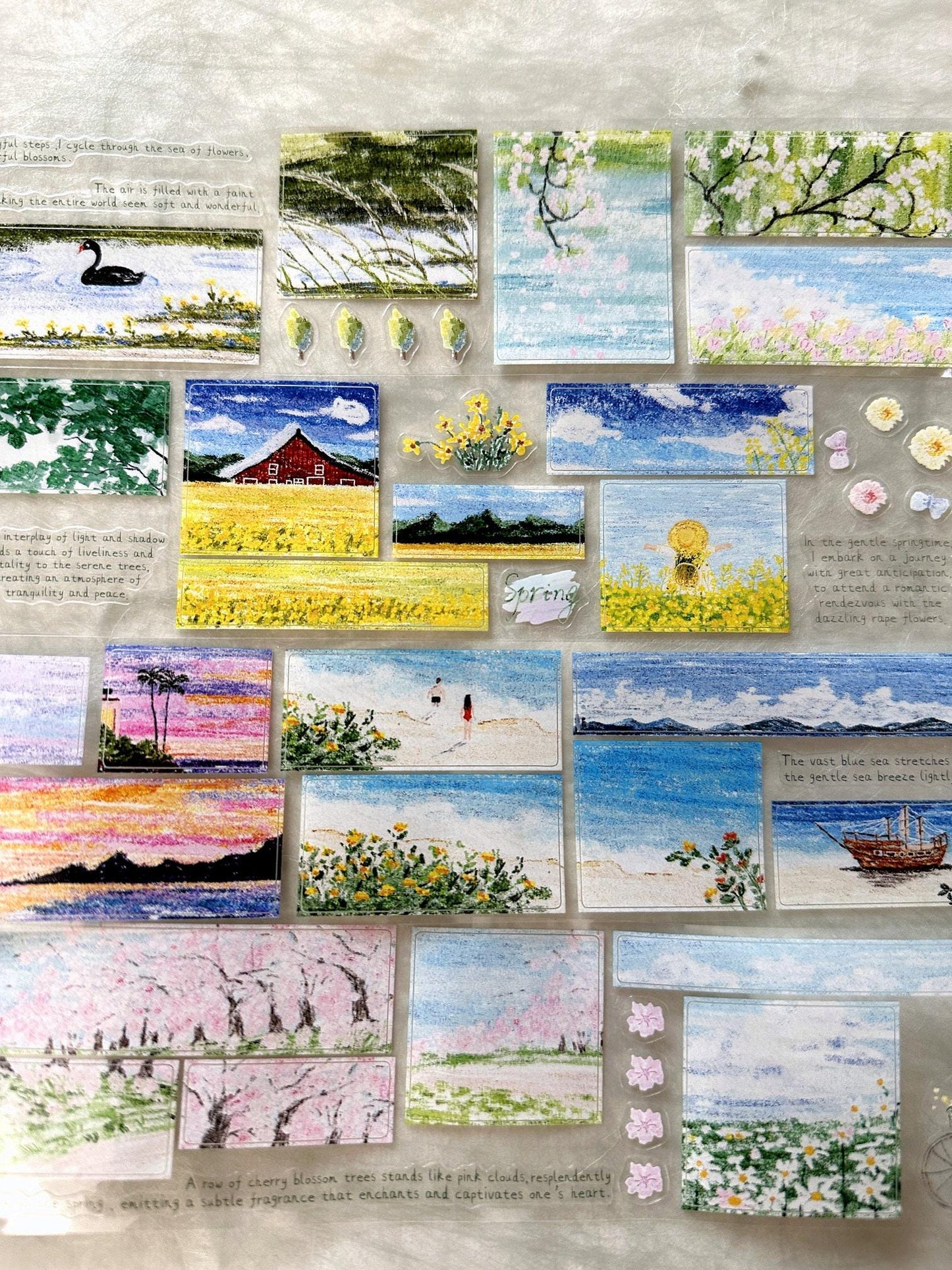 MuZiShan Studio - Looking for Spring kiss-cut PET tape (5 cm x 115 cm) SAMPLES