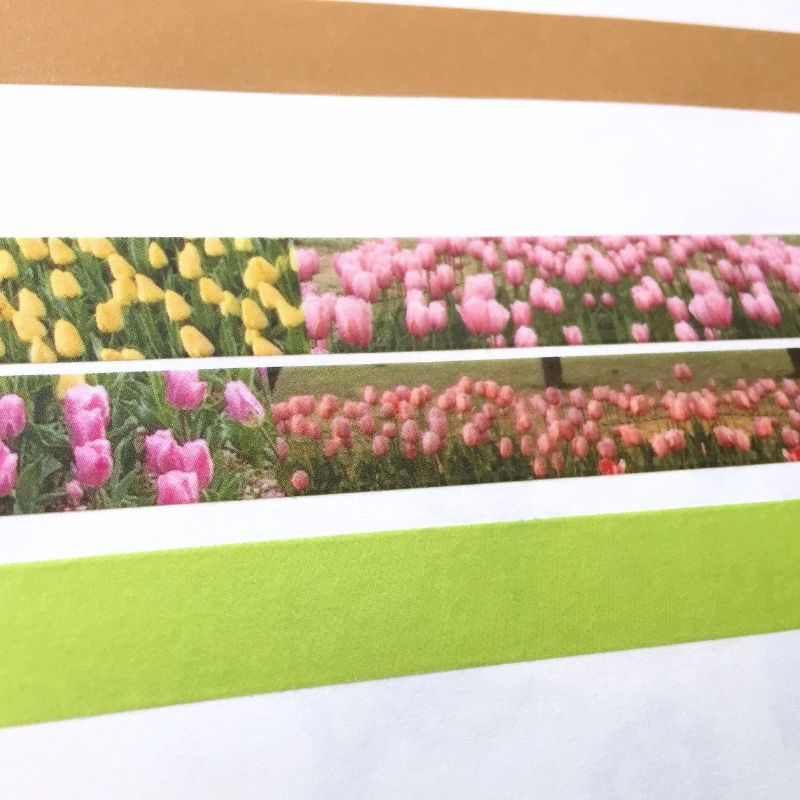 p.palette - Vintage Brown & Lime Green washi tape SAMPLES