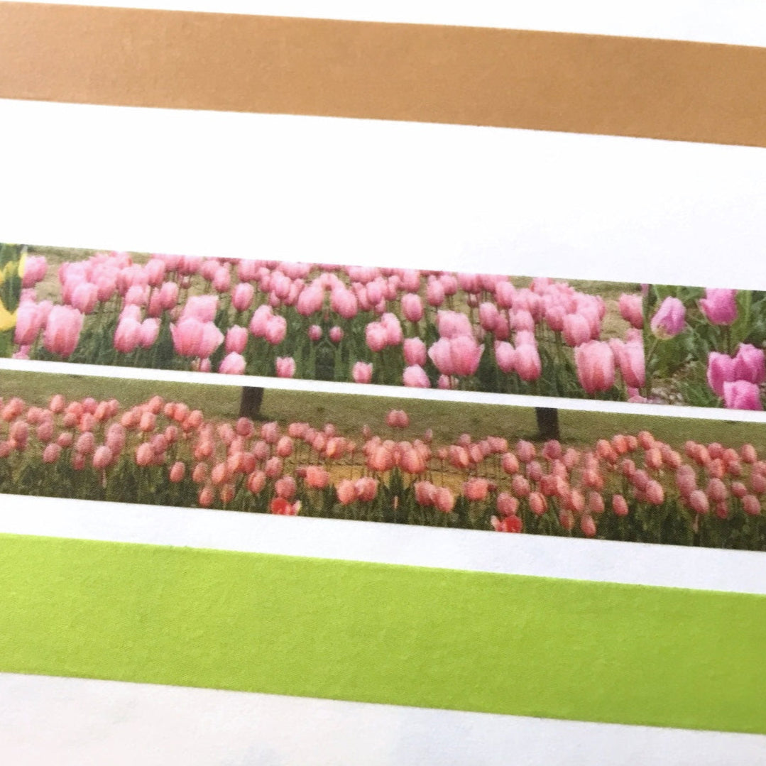 p.palette - Vintage Brown & Lime Green washi tape SAMPLES