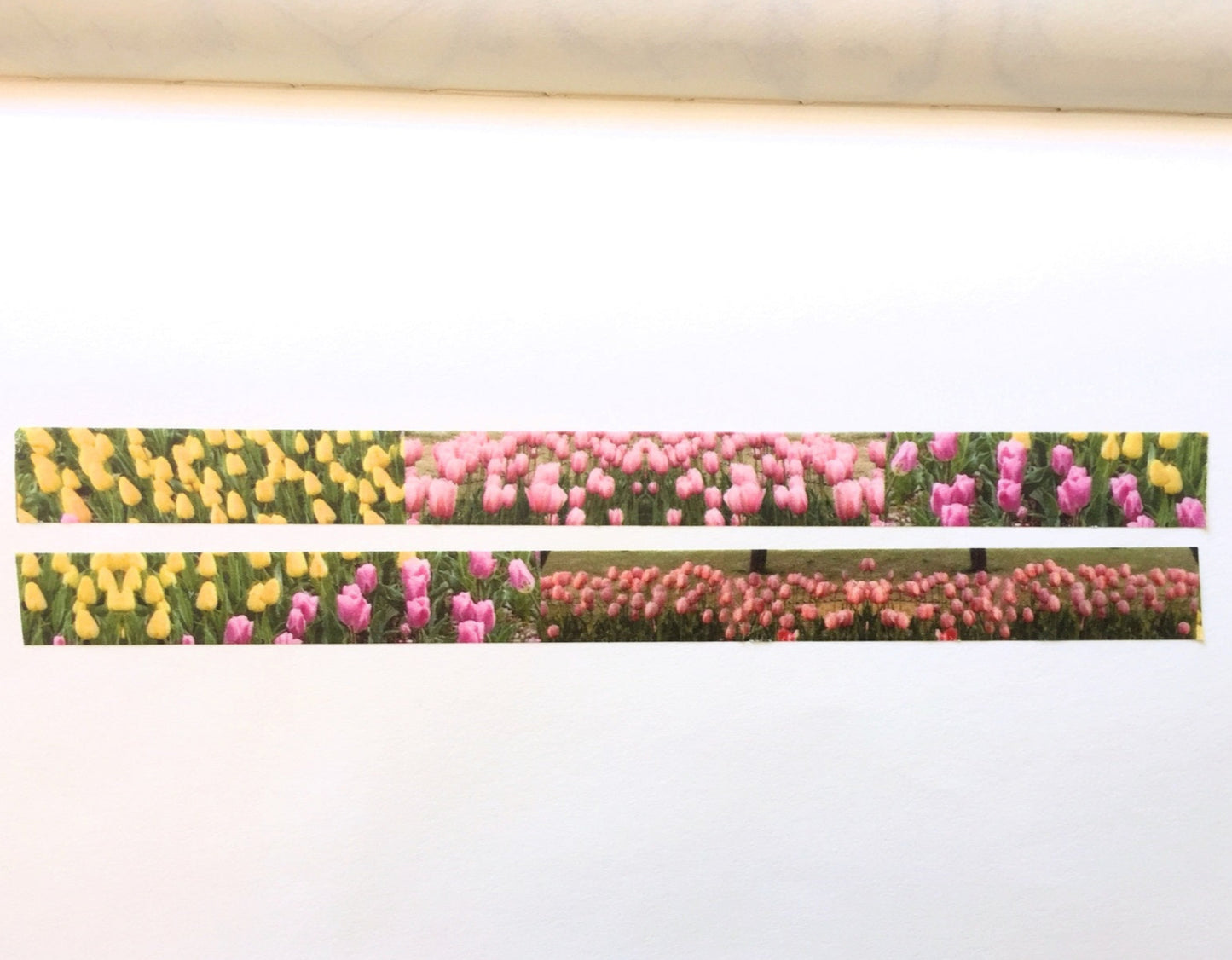 p.palette - Tulips washi tape SAMPLES