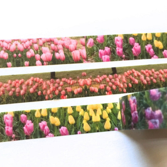 p.palette - Tulips washi tape SAMPLES