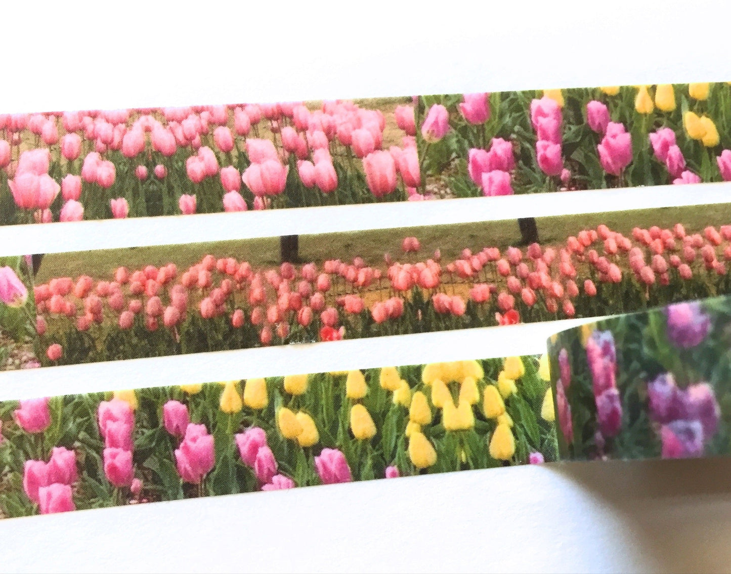 p.palette - Tulips washi tape SAMPLES