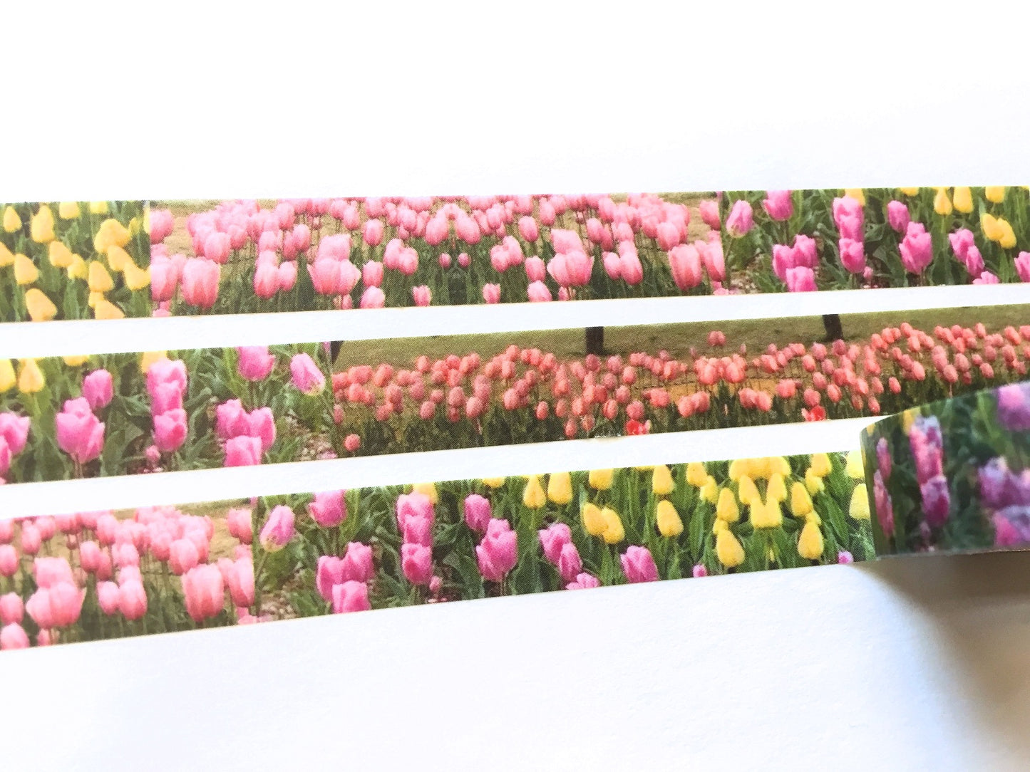 p.palette - Tulips washi tape SAMPLES
