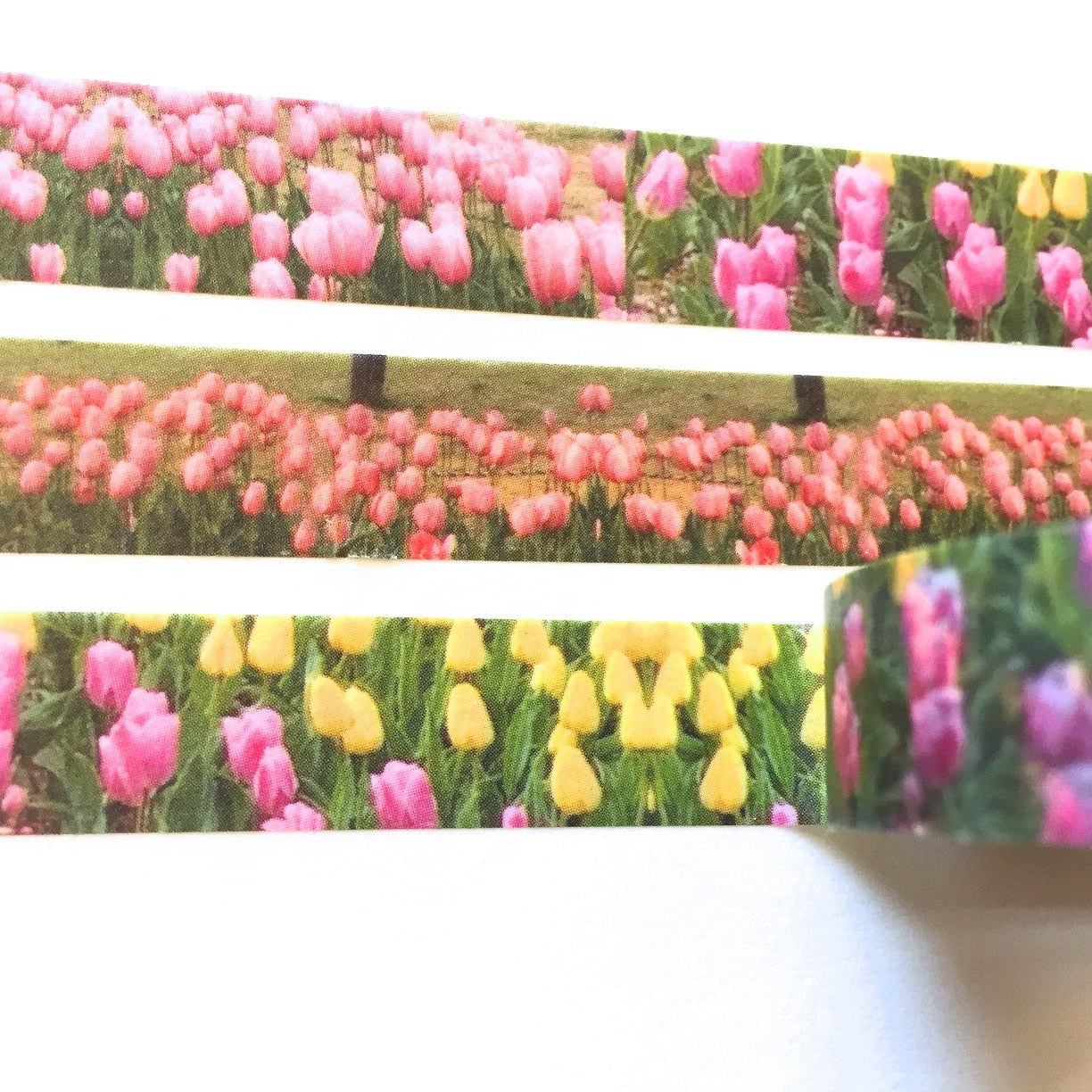 p.palette - Tulips washi tape SAMPLES