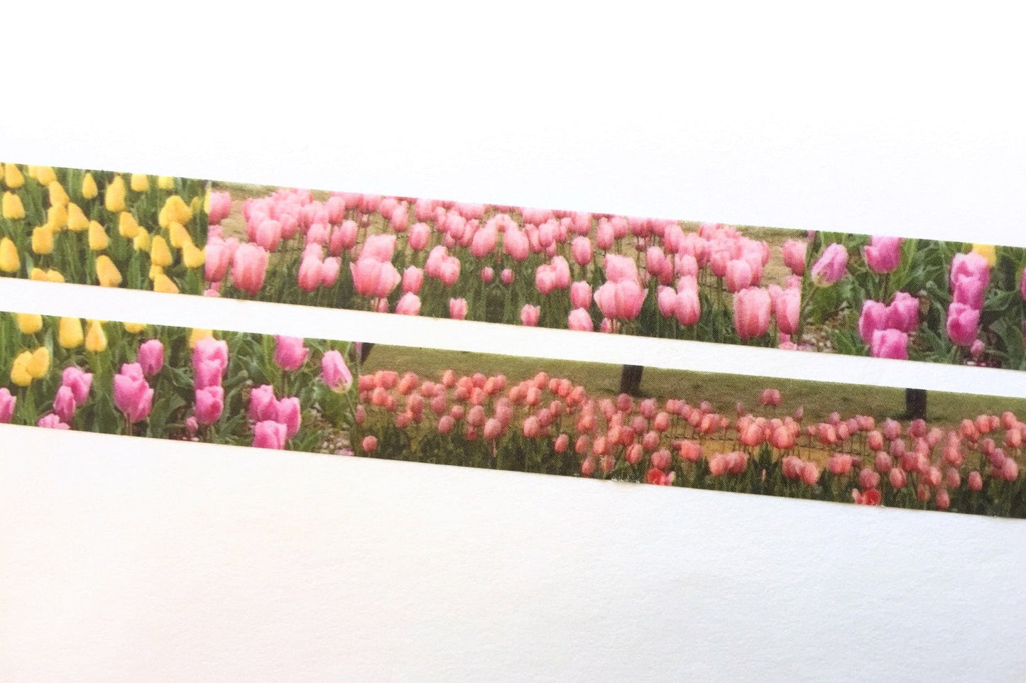 p.palette - Tulips washi tape SAMPLES